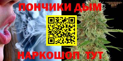 дурь Тара
