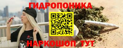 дурь Тара