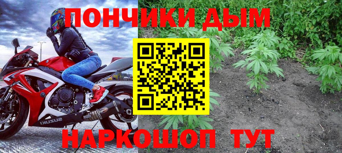 Бошки Шишки OG Kush  Бошки марихуана сатива  Вход с VPN  Бошки Шишки сатива  Канабис сатива  Новозыбков 